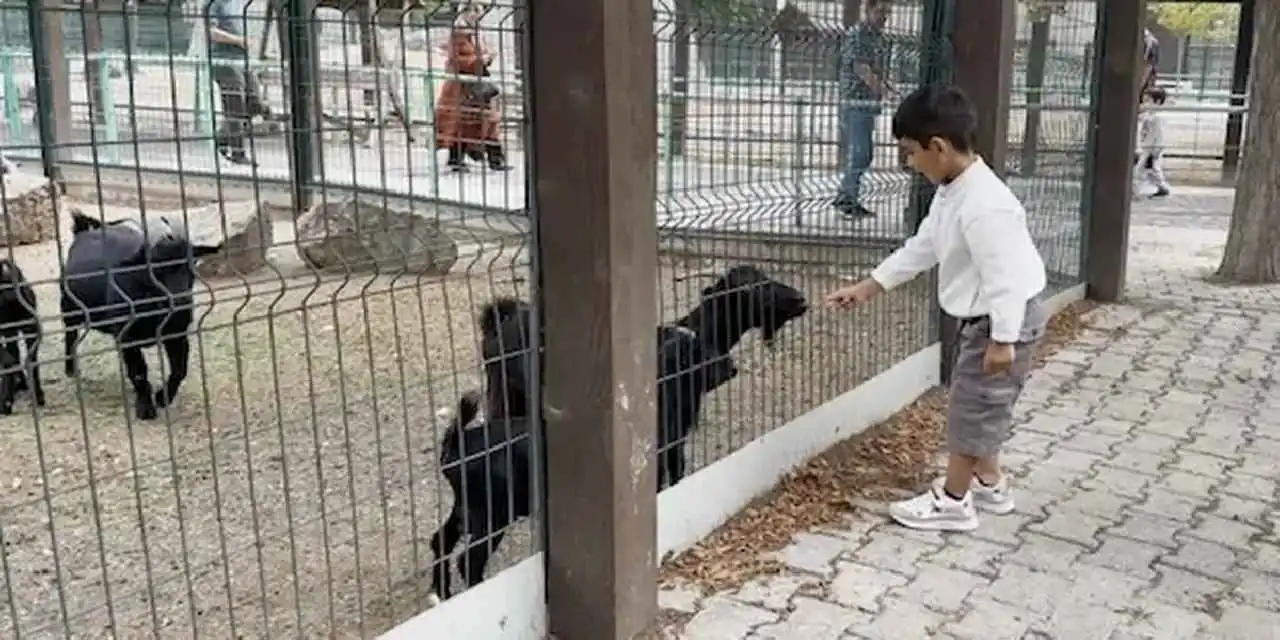 Kayseri Hayvanat Bahçesi'nde 30 Ağustos bereketi