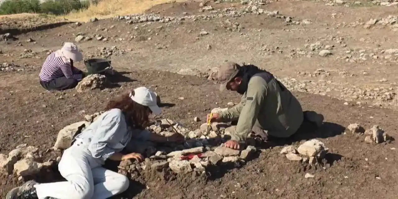 Çayönü Tepesi’nde 9 bin yıllık iz... Yeni işlik gün yüzüne çıkarıldı