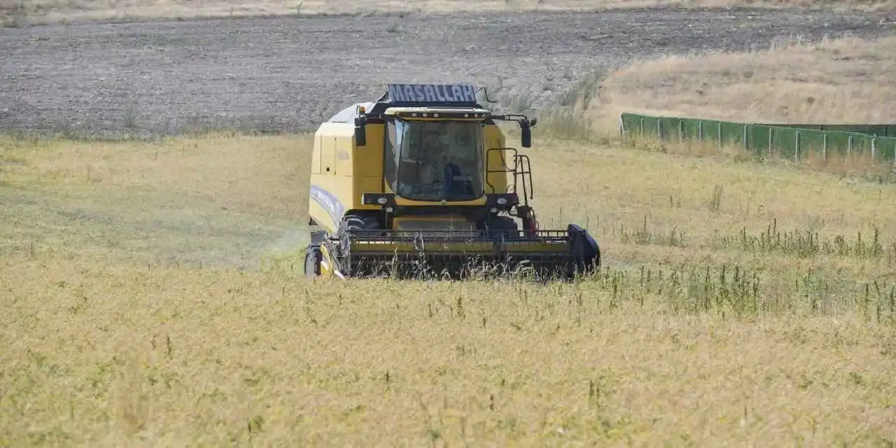 Ankara’da sertifikalı nohut hasadı başladı