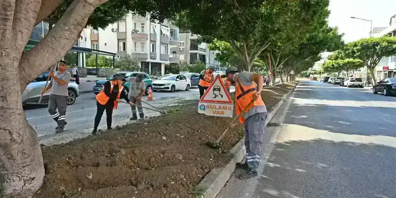 Antalya'da kurakçıl peyzajla yeşil dokunuş