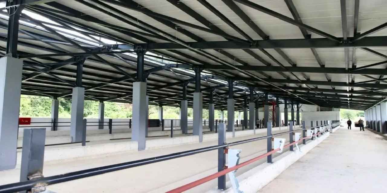 Ordu Fatsa’da Damızlık Düve Yetiştirme Merkezi tamamlandı