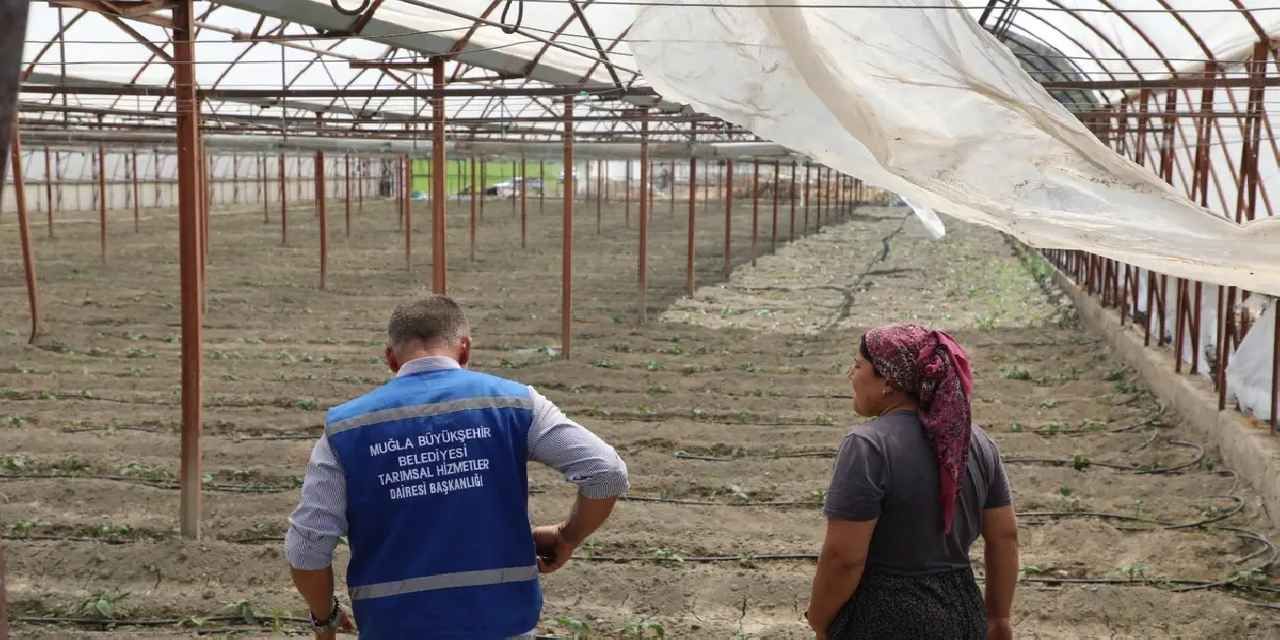 Muğla'da zarar gören üreticiye naylon desteği