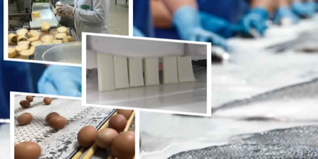IPARD-III kapsamında 844,5 milyon TL'lik hibe ödemesi