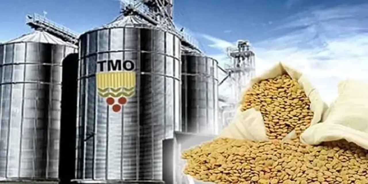 TMO’dan üreticilere 6,3 milyar liralık ödeme
