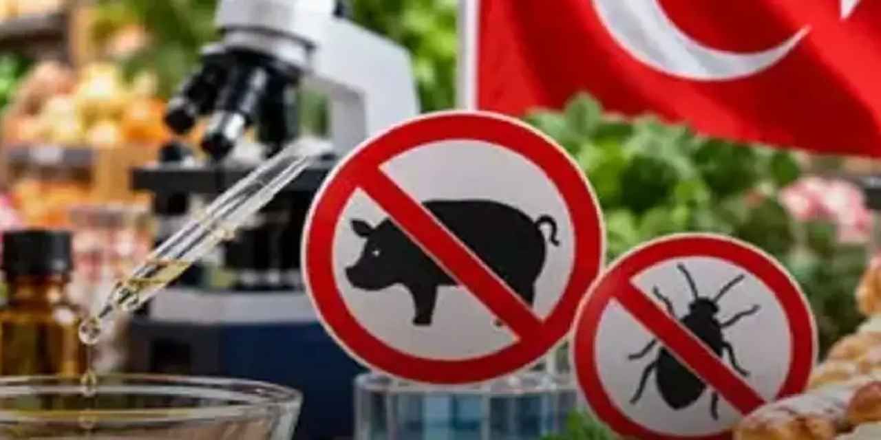 Aroma vericilere yeni düzenleme... Domuz ve böcek kaynaklı aroma vericiler yasaklandı