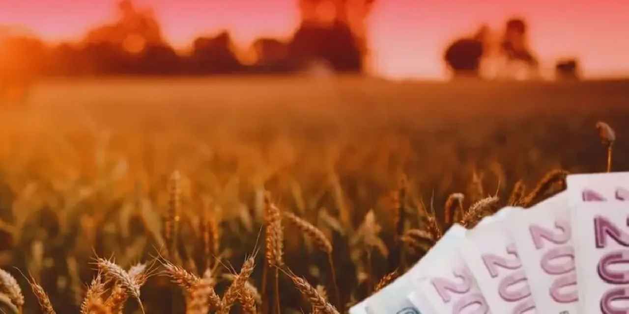 TMO’dan üreticiye 4,5 milyar TL'lik ödeme
