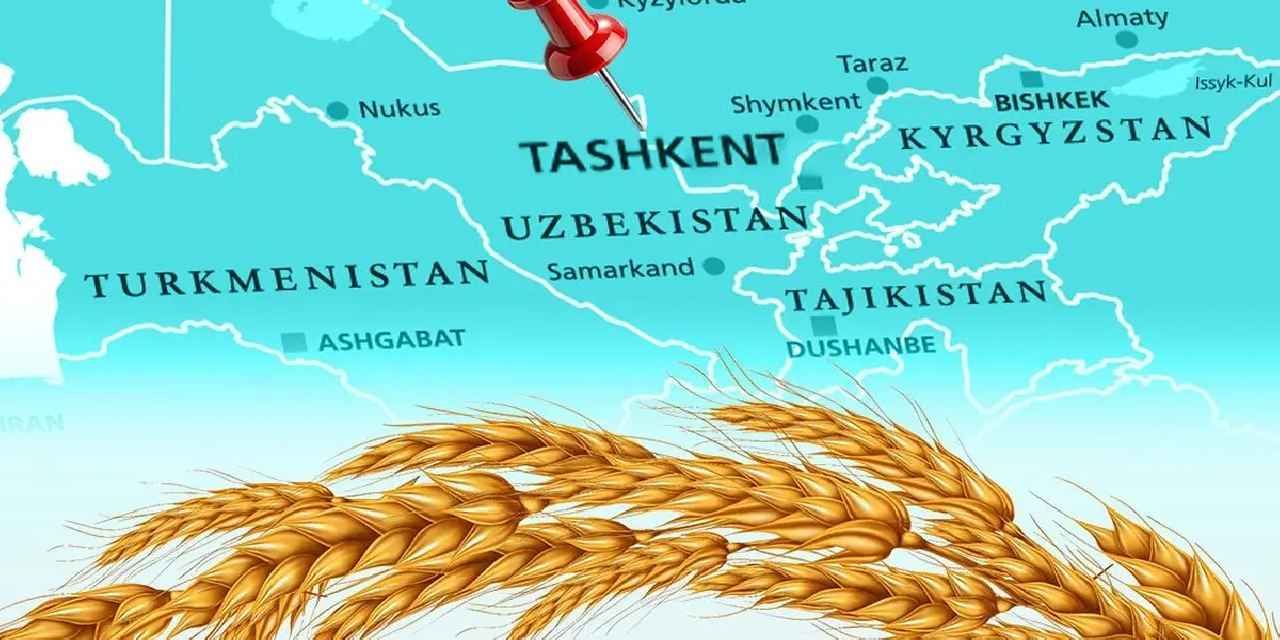Türkiye un ihracatında 12. şampiyonluk hedefini koydu... Tahıl sektörü Taşkent'te buluşuyor