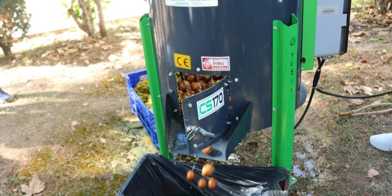 Antalya'da Üreticilere Modern Ceviz Soyma Desteği