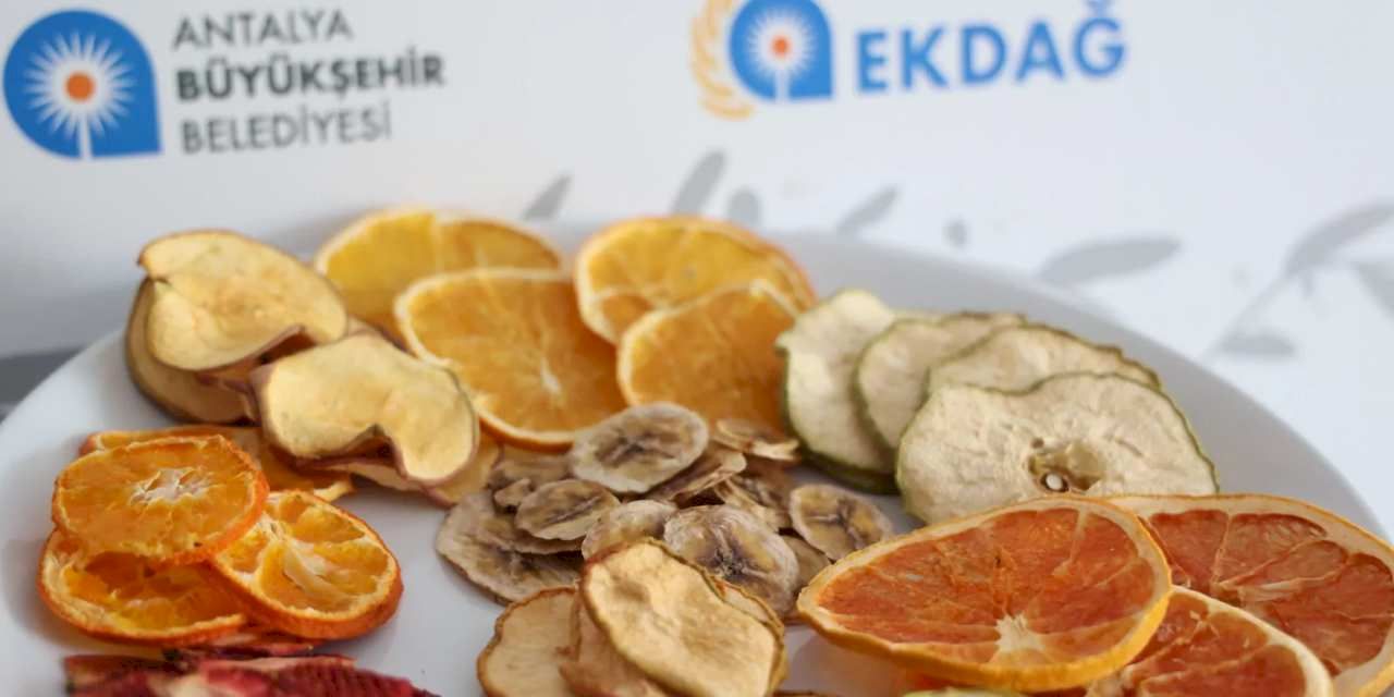 Antalya'da modern meyve kurutma tesisi açıldı