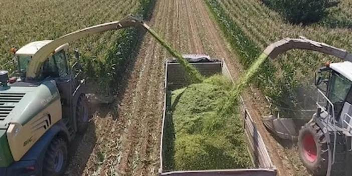 TİGEM’den bin 500 tonluk mısır silaj hizmeti ihalesi