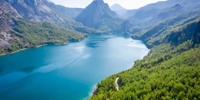 TEMA Vakfı’ndan Orman ve Su Uyarısı