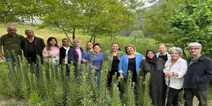 Ak Zambaklar gelişiyor, kadınlar güçleniyor