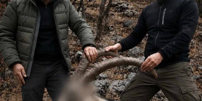 6 yıl önceki kaçak avın failleri tespit edildi! 5 yaban keçisi için ceza uygulandı