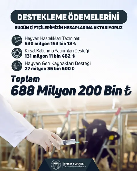 destek.webp